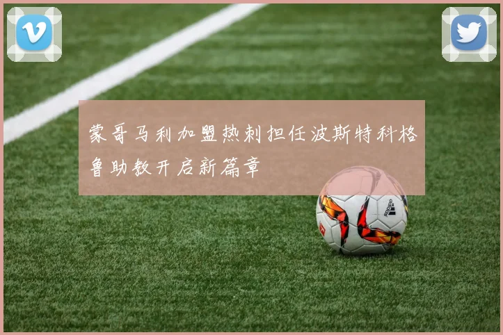 蒙哥马利加盟热刺担任波斯特科格鲁助教开启新篇章