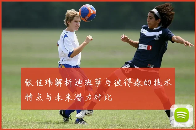 张佳玮解析迪班萨与彼得森的技术特点与未来潜力对比